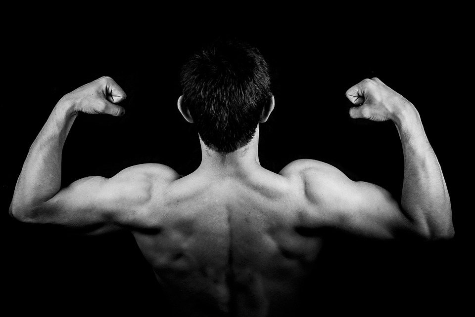 Comment structurer un programme de musculation efficace ?